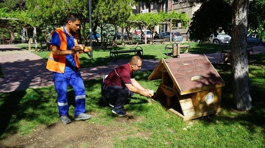 Sokak Hayvanları İ&ccedil;in Park Ve Bah&ccedil;elere Suluk Yerleştirildi