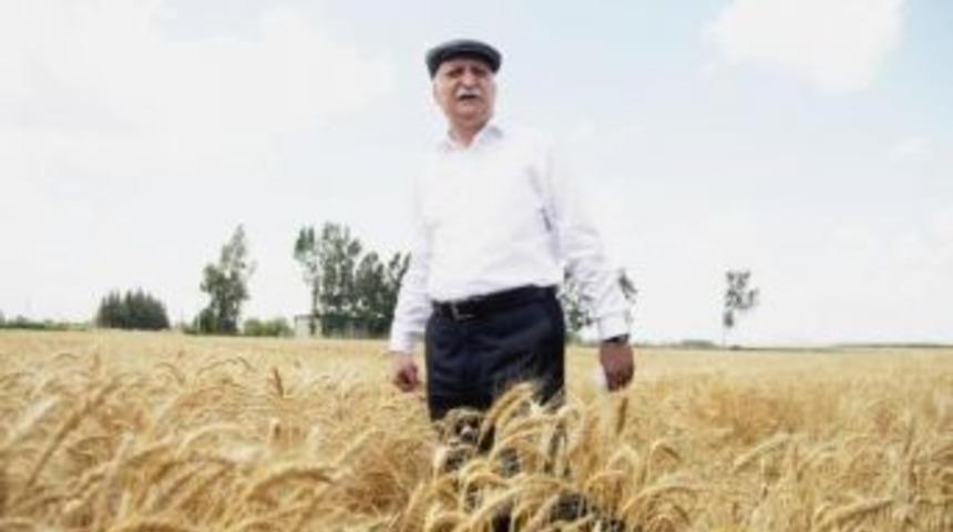 Tzob: Hububatta &Ccedil;ift&ccedil;i-T&uuml;ccar-Sanayici Zinciri Koptu, Piyasa Bozuldu