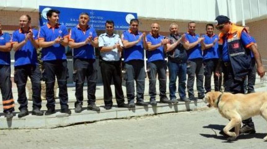 Afad'ın Arama K&ouml;peği 'herk&uuml;l'&uuml; Emekli Oldu