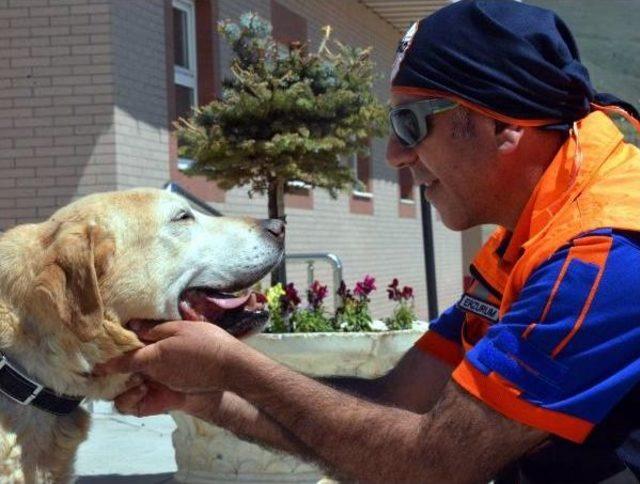 Afad'ın Arama Köpeği 'herkül'ü Emekli Oldu