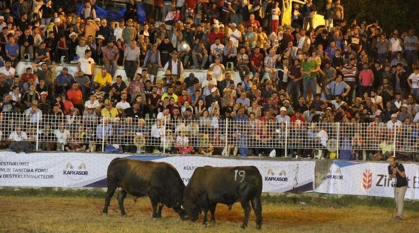 17 Saat Boyunca Boğa G&uuml;reşlerini İzlediler