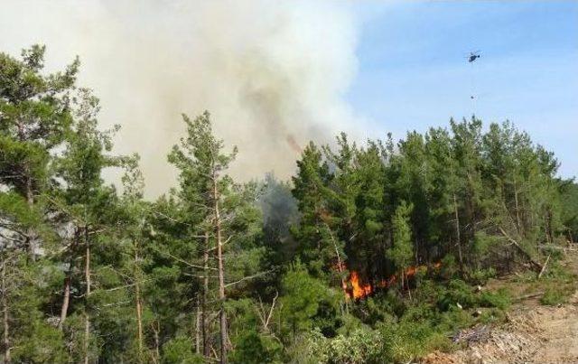 Anamur'daki Orman Yangını Kısmen Kontrol Altında 