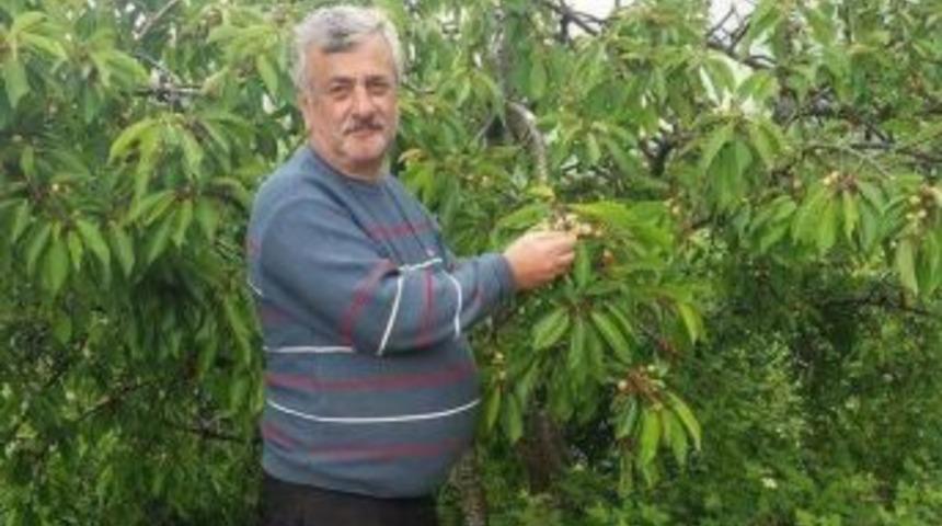 Gaz Sıkışması Sonucu Yaşanan Patlamada Muhtar, Hayatını Kaybetti