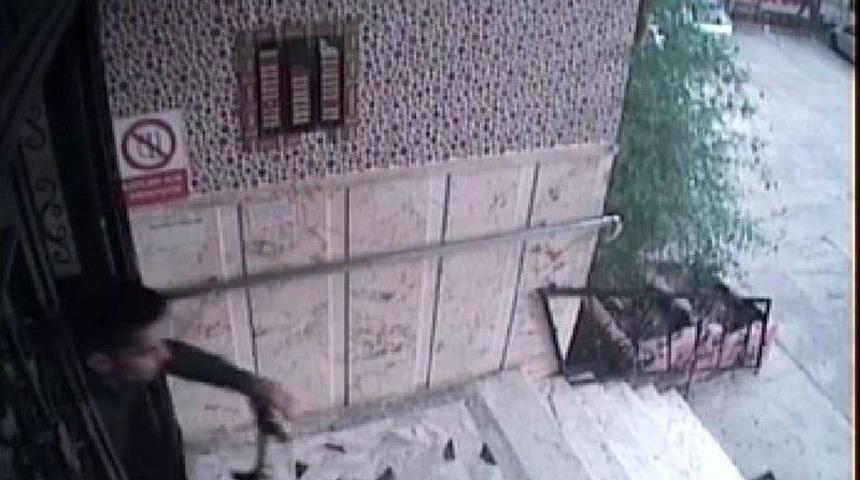 K&uuml;&ccedil;&uuml;k Bisikleti Bırakıp B&uuml;y&uuml;ğ&uuml;n&uuml; &Ccedil;aldı