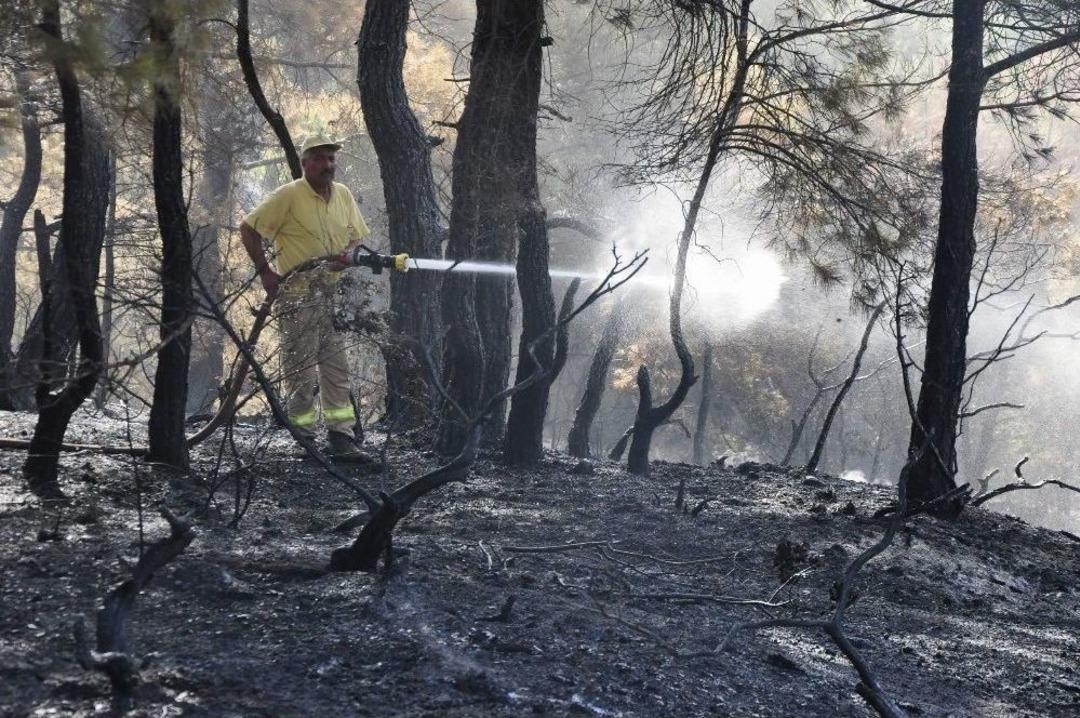 30 Hektarı K&uuml;l Eden &Ccedil;anakkale&rsquo;deki Orman Yangınında R&uuml;zgar Endişesi