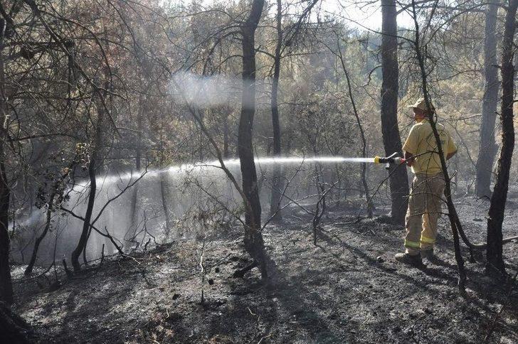 30 Hektarı Kül Eden Çanakkale’deki Orman Yangınında Rüzgar Endişesi G2