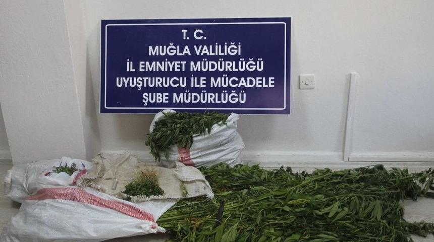 Cezaevinden Ka&ccedil;tı, Kenevir Yetiştirirken Yakalandı