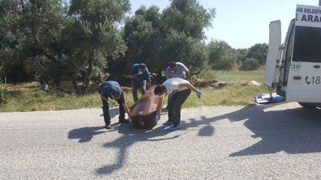 İzmir&rsquo;de Boş Arazide Erkek Cesedi Bulundu 2