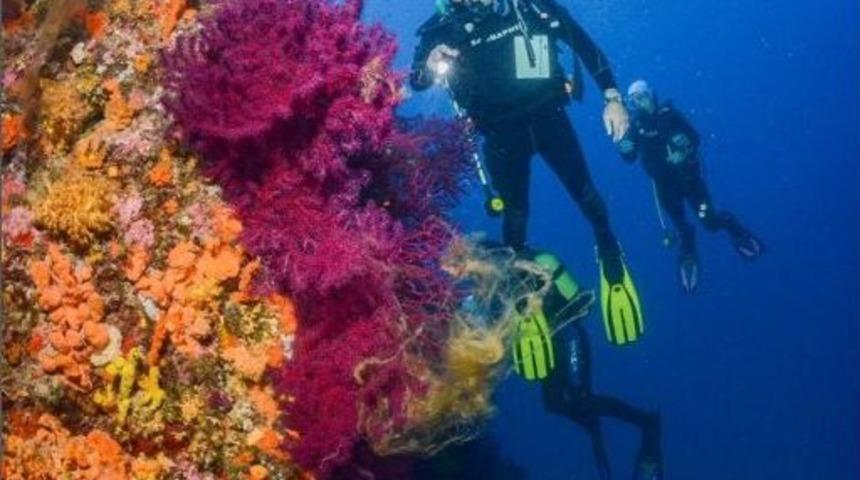 (&ouml;zel Haber) Su Altının &Ccedil;i&ccedil;ek Bah&ccedil;esi Kızıl Mercanlar