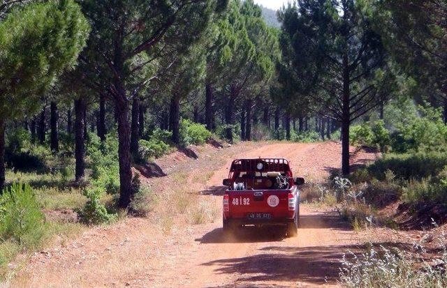 Muğla’da Ormancılar Teyakkuzda