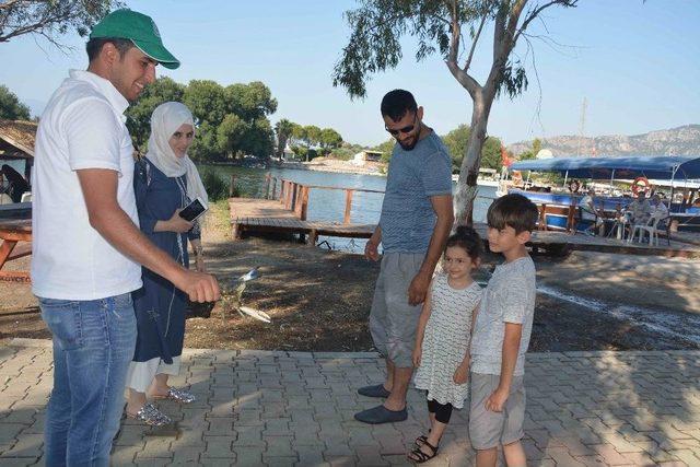 Mavi Yengeç Yerli Ve Yabancı Turistlerden İlgi Görüyor