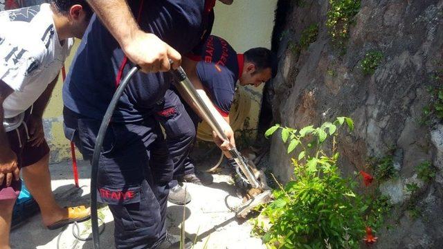 Duvara Sıkışan Karamel İçin İtfaiye Ekipleri Seferber Oldu 1