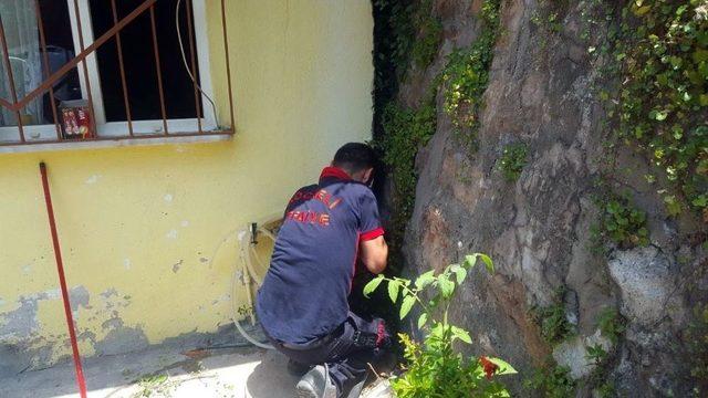 Duvara Sıkışan Karamel İçin İtfaiye Ekipleri Seferber Oldu 2
