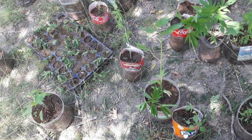 Antalya&rsquo;da Kenevir Operasyonu