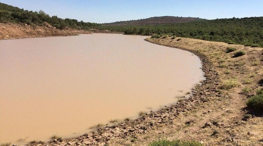 B&uuml;y&uuml;kşehir, Yunusemre&rsquo;deki G&ouml;letleri Temizledi