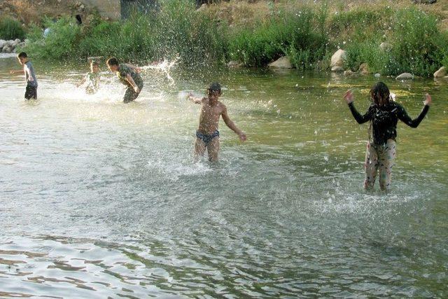 Aşırı Sıcakların Bunalttığı Arabanlılar Akarsulara Akın Etti 1