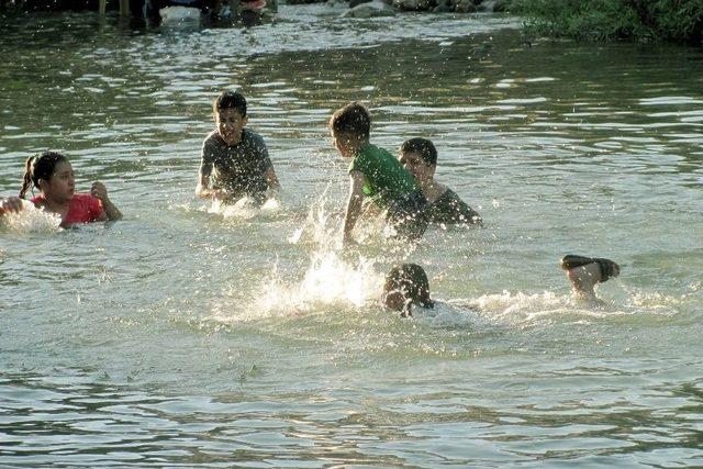 Aşırı Sıcakların Bunalttığı Arabanlılar Akarsulara Akın Etti 2