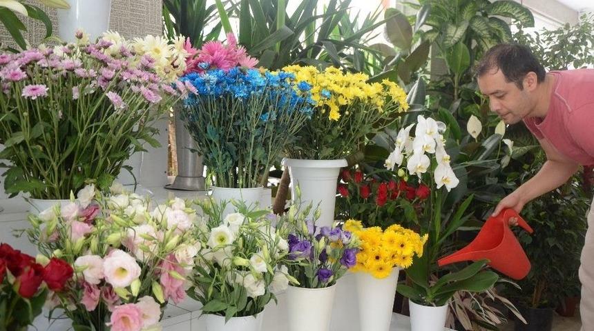 Sıcak Havalarda &Ccedil;i&ccedil;eklerin Bakımı