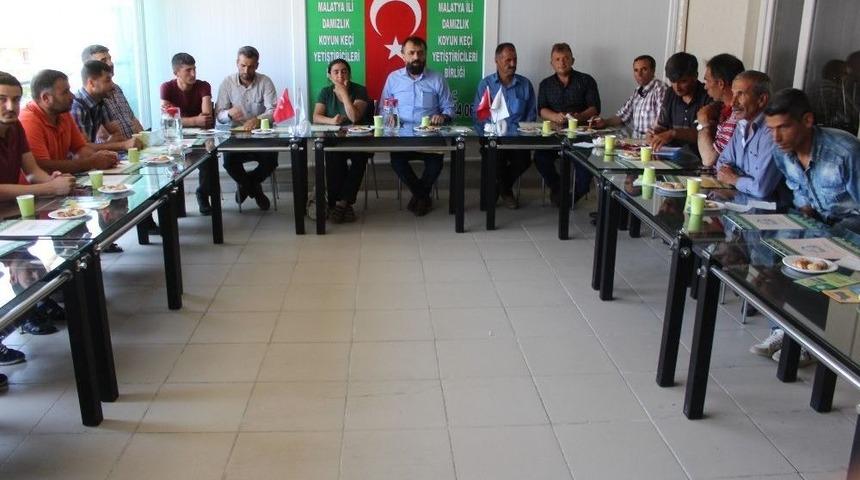 &lsquo;koyun Kırkım&rsquo; Kursu