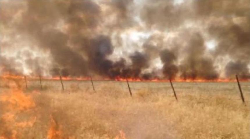 Suriye Sınırındaki Mayınlı Alanda Yangın