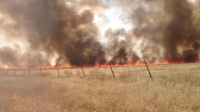 Suriye Sınırındaki Mayınlı Alanda Yangın 2