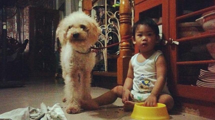 Anne baba olmanın zor olduğunu kanıtlayan 20 fotoğraf