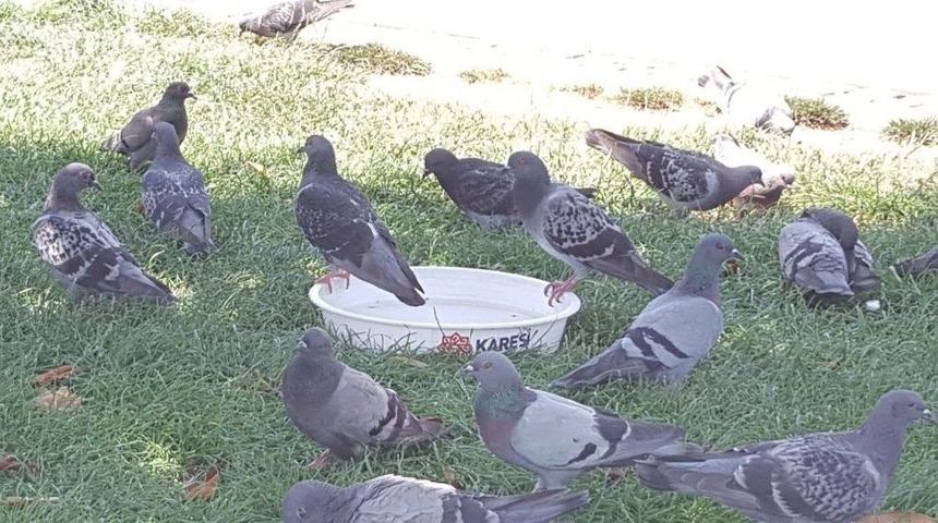 Bir Kap Su Yaşamdır