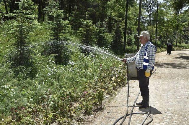 B&uuml;y&uuml;kşehir, Karag&ouml;l Milli Parkı&rsquo;nı Yeniliyor 2