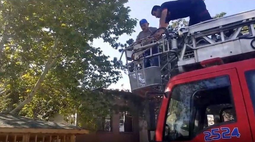 Yuvasından D&uuml;şen Yavru Karganın Yardımına İtfaiye Yetişti