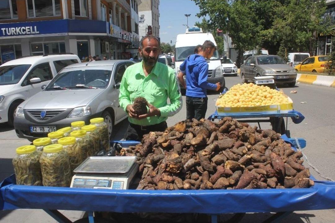 Ağrı&rsquo;da U&ccedil;kun K&ouml;k&uuml;ne Yoğun İlgi