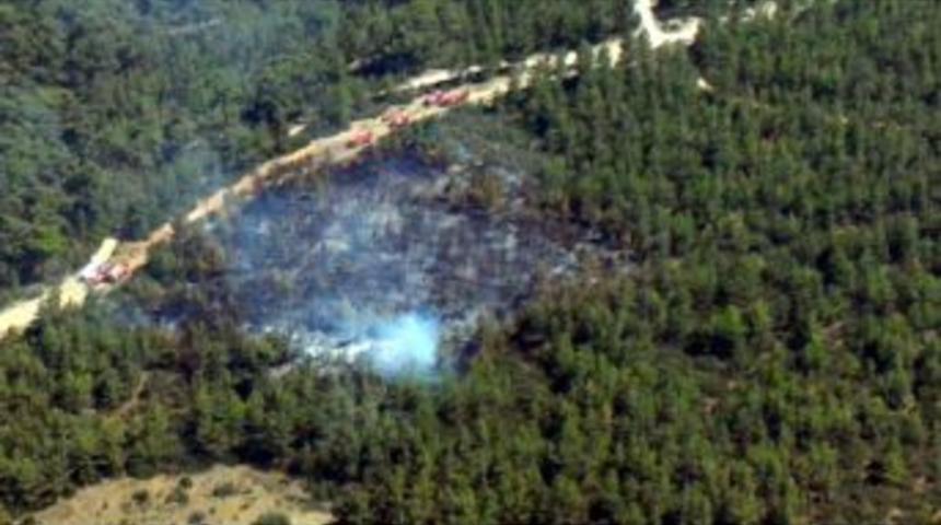 Karacasu&rsquo;da 12 D&ouml;n&uuml;m Kızıl&ccedil;am Ormanı K&uuml;l Oldu