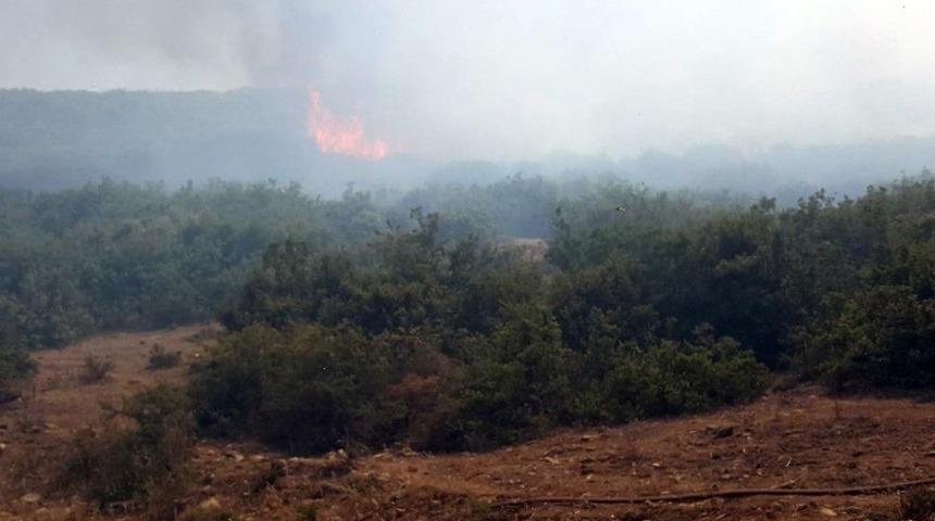 İzmir&rsquo;de İkinci Orman Yangını