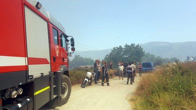 İzmir’de İkinci Orman Yangını