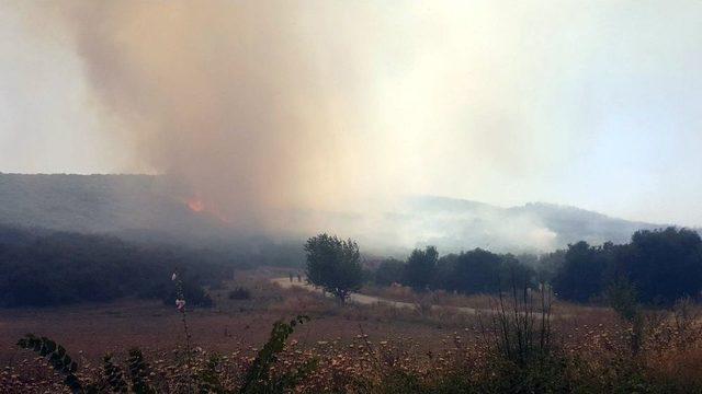 İzmir’de İkinci Orman Yangını