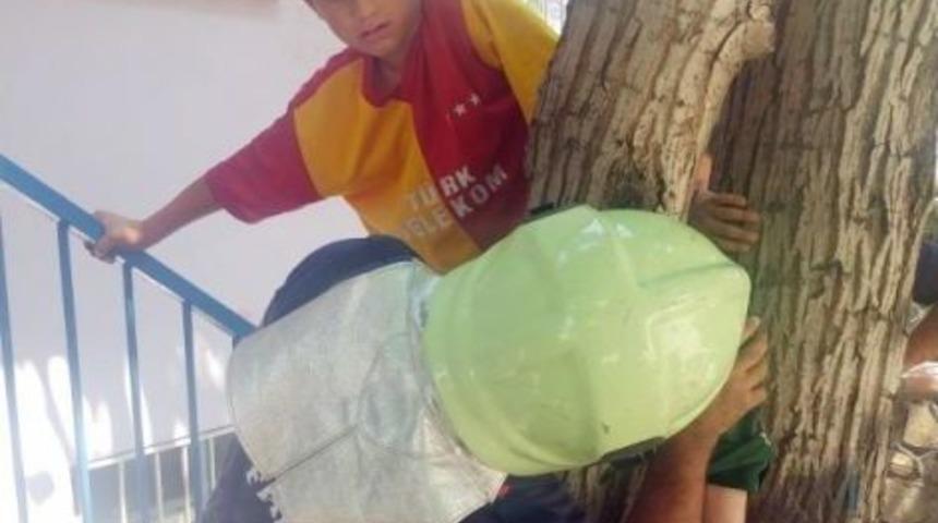 Ayağı Ağacın G&ouml;vdesine Sıkışan &Ccedil;ocuğu İtfaiye Kurtardı