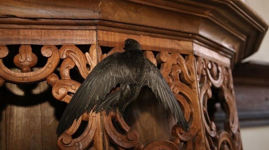 Ebabil Kuşu Tarihi Kula Evlerine Sığındı