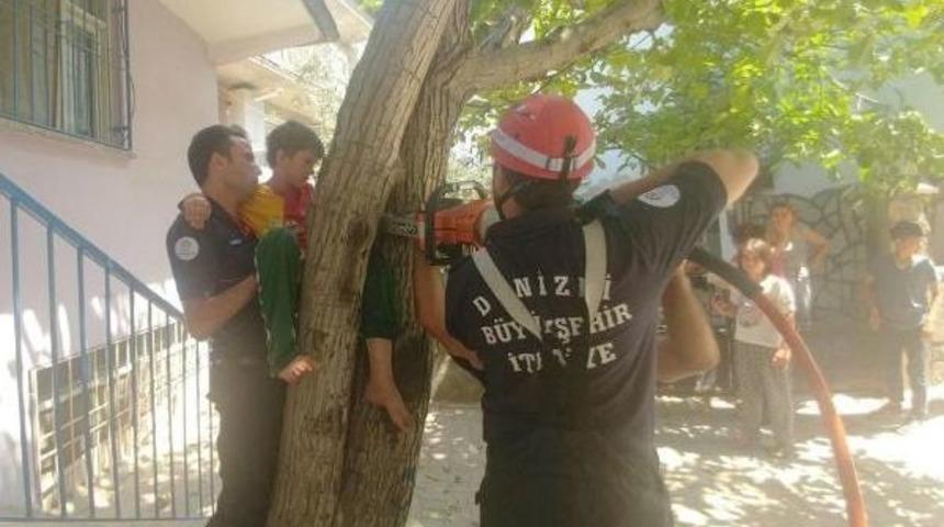 Ağaca Tırmanırken Ayağı Sıkışan &Ccedil;ocuğu Itfaiye Kurtardı