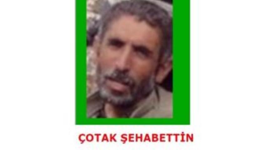 Bing&ouml;l'de &Ouml;ld&uuml;r&uuml;len 11 Pkk'lıdan &Ccedil;otak'ın Yeşil Listede Arandığı Ortaya &Ccedil;ıktı