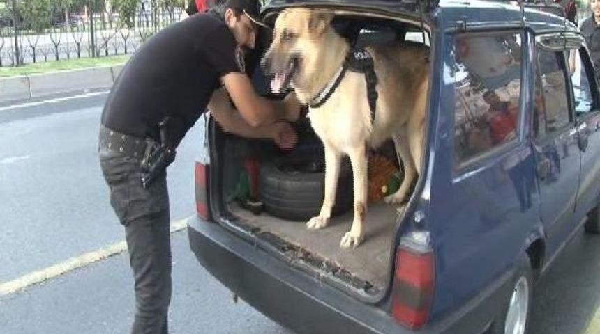 İstanbul'da 'yeditepe Huzur' Denetimi Yapılıyor (1)