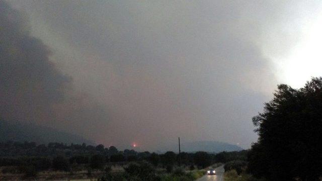 Denizli’de Orman Yangını