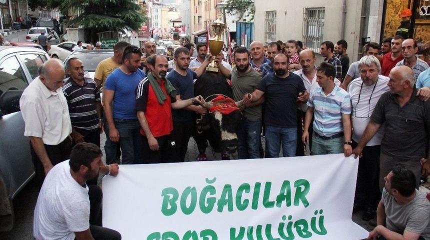 Şampiyon Boğalardan Şehir Turu