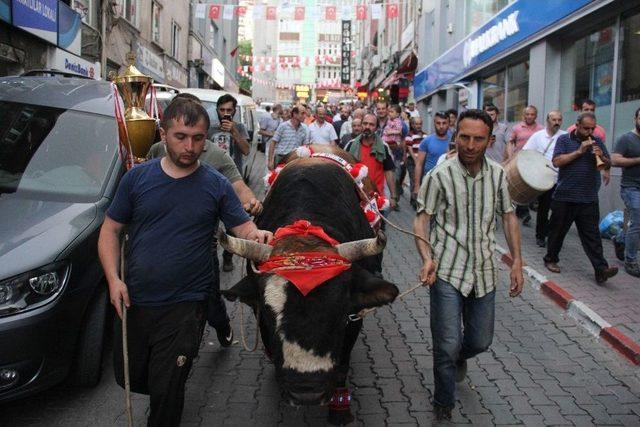 Şampiyon Boğalardan Şehir Turu 1
