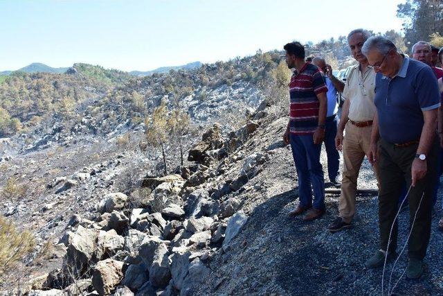 Deniz Baykal, Alanya&rsquo;da Yangında Zarar G&ouml;ren Alanları Gezdi 3