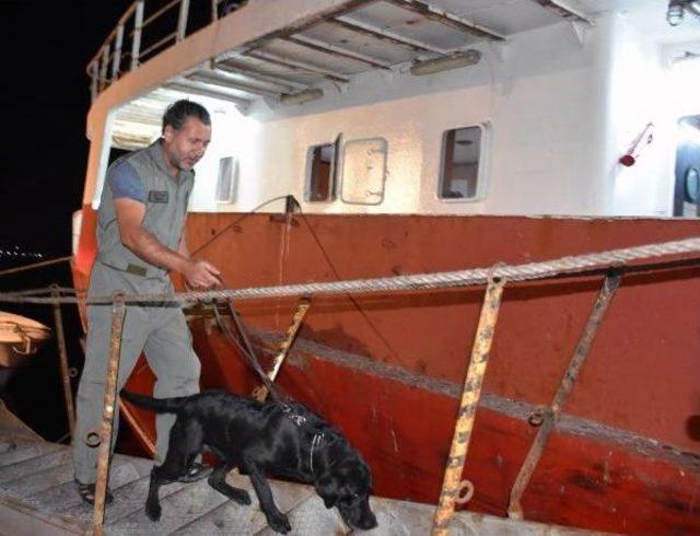 Yunanlıların Saldırdığı Kuru Yük Gemisi Marmaris'te