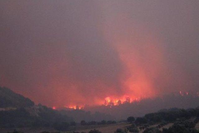 Denizli de Orman Yangını (3) 1