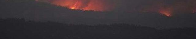 Denizli de Orman Yangını (3) 2