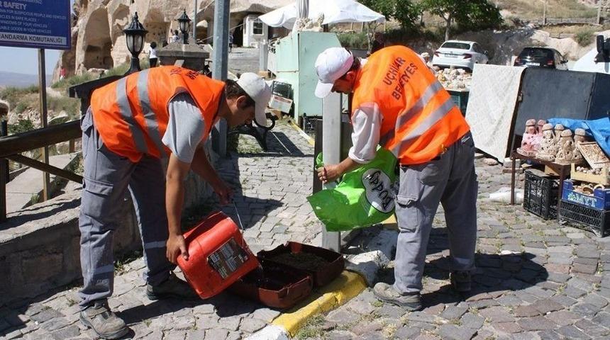 U&ccedil;hisar&rsquo;da, Sokak Hayvanları A&ccedil; Kalmıyor