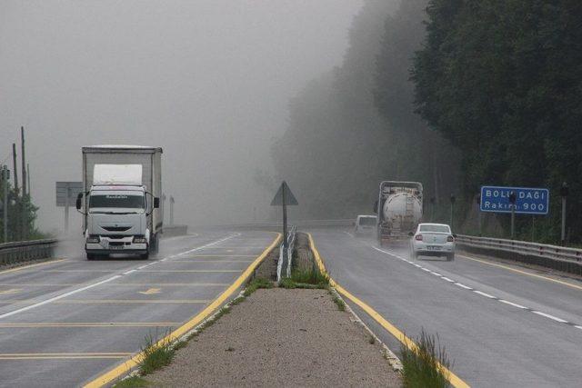 Kavurucu Sıcakların Ardından Gelen Yağmur Serinletti