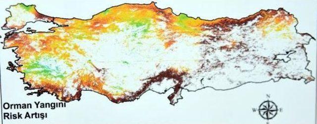 Türkiye'yi Orman Yangınları Konusunda Gelecekte Bekleyen Tehlike