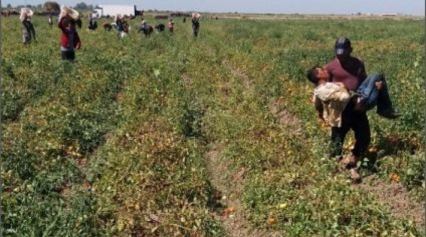 Sıcaklar Tarım İş&ccedil;isini Bayılttı